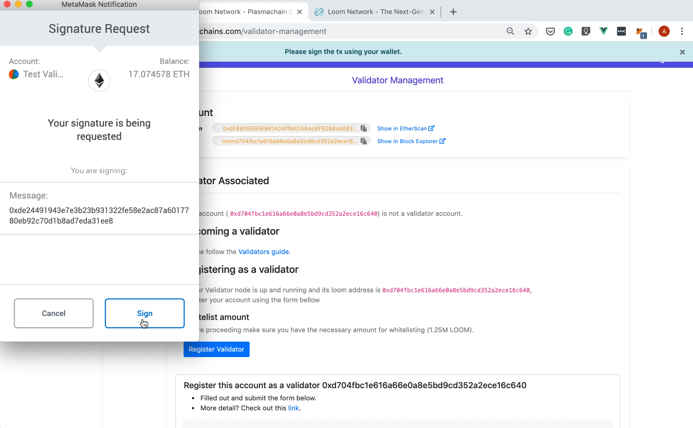Sign Message Add Validator